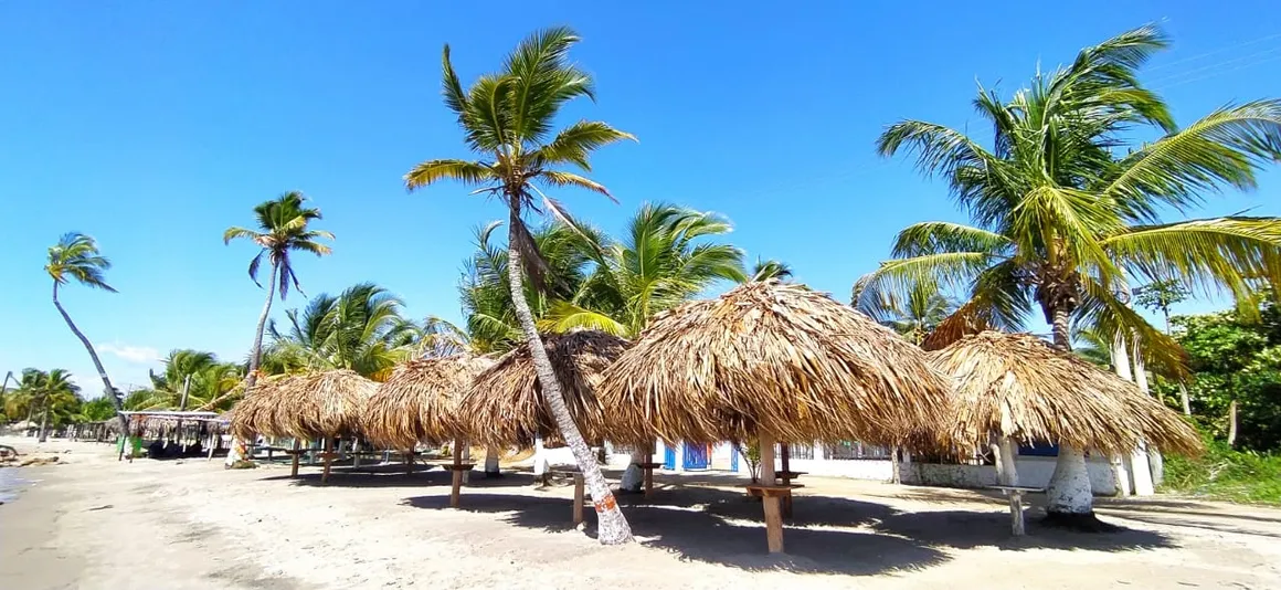 Los Flamencos Coveñas